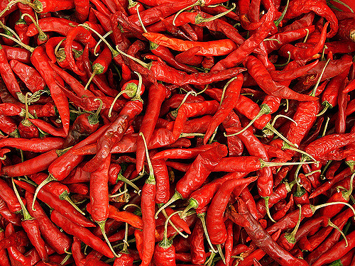 Chili szósz